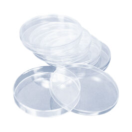 Petri Dish